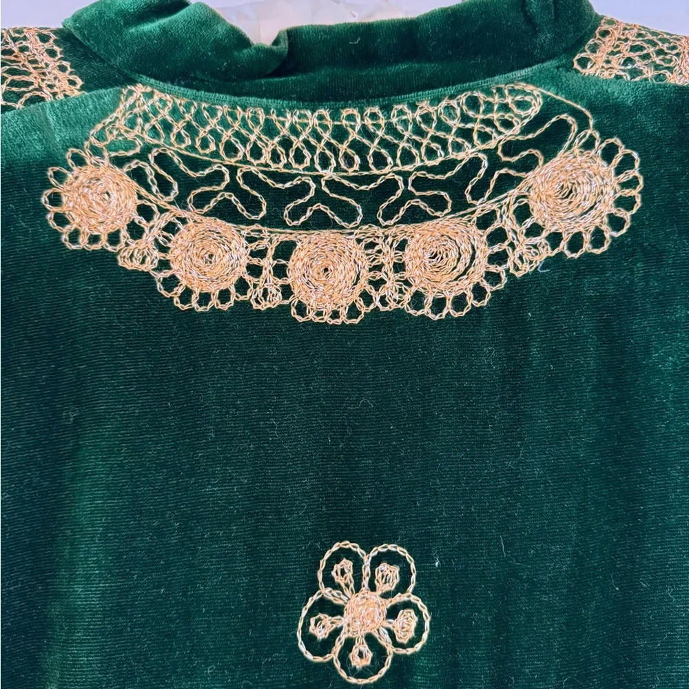Vintage Elegant Indian Green Velvet Dress with Gold Detailing - Picture 6 of 12